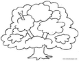 Lamina para colorear Dibujos de arboles. arbol